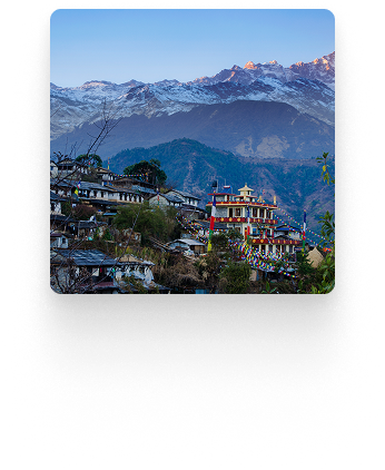 Foundation Image